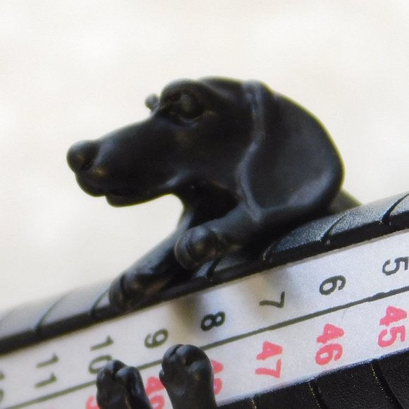 RING DACHSHUND Size 5 - Picture 3 of 9